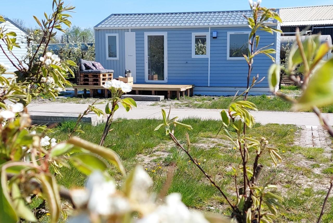 Chalet Elstar Hengstdijk Bagian luar foto