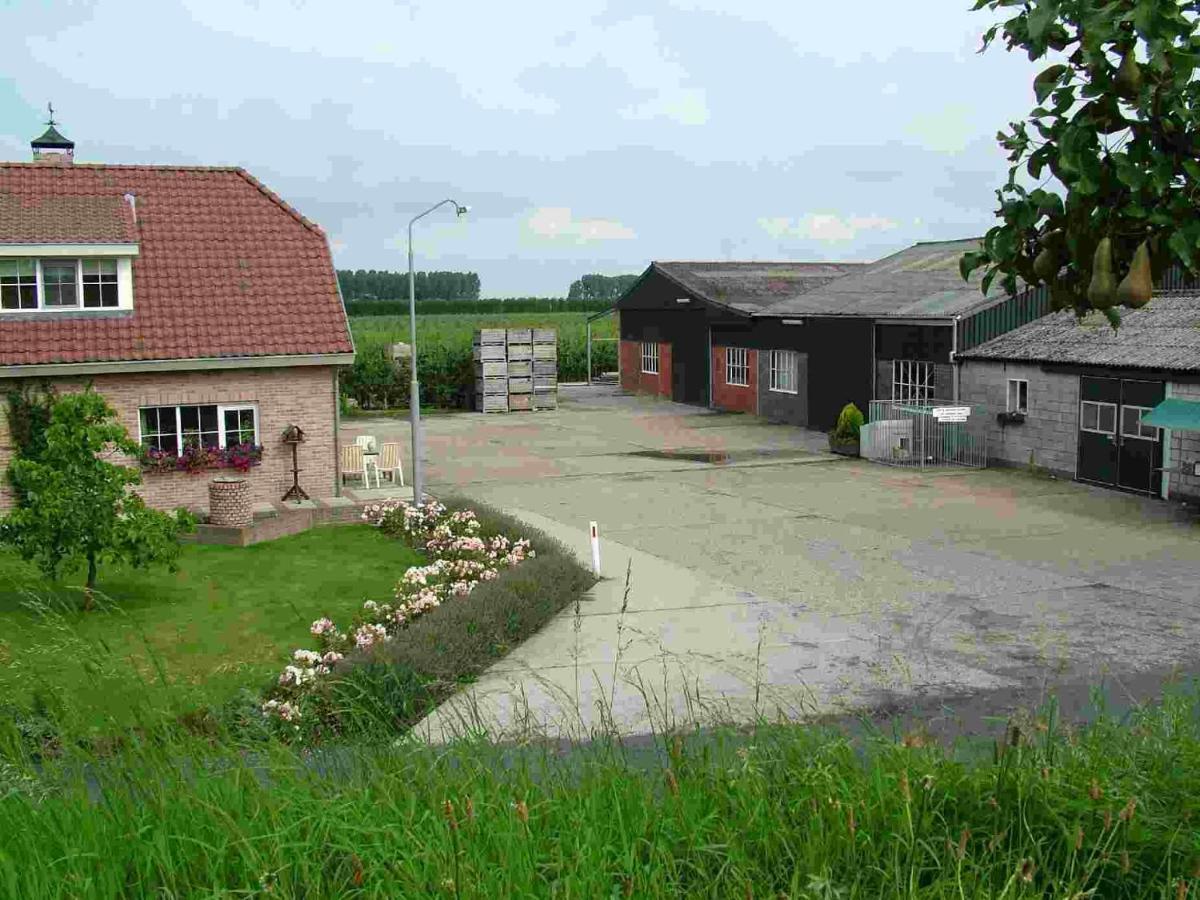 Chalet Elstar Hengstdijk Bagian luar foto
